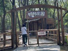 -南戴河国际娱乐中心