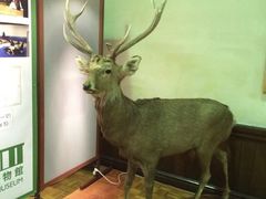 -北海道厅旧本厅舍(旧本庁舎)