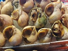 -深圳温德姆至尊酒店·大堂吧·户外花园