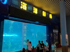 -洛阳龙门海洋馆