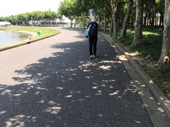 -东方绿舟景区