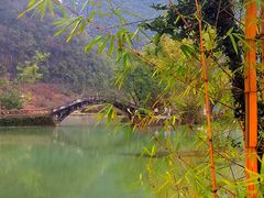 -靖西鹅泉风景区
