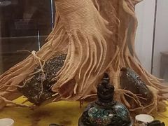 -不倒翁·徽天下名菜楼(马鞍山路店)