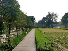 -洪湖家庭农场·团建·露营·会议