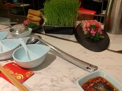 活体有机豆苗-捞神煲汤火锅(湖滨商业街店)