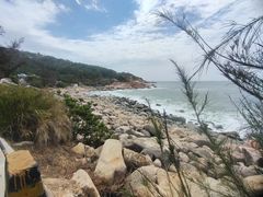 -广东惠东海龟国家级自然保护区
