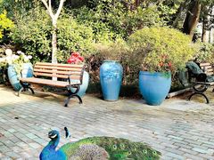 -J Create城市露营咖啡·简餐·宠物(上海动物园店)