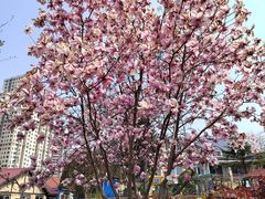 -贮水山儿童公园