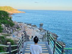 -广东惠东海龟国家级自然保护区