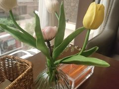 -卡普里披萨·牛扒·下午茶
