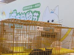 -帕帕拉兹宠物(亚洲旗舰店)