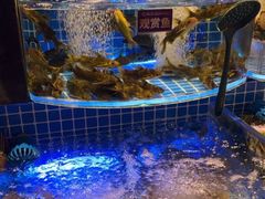 -焰江山海鲜牛排烤肉自助(锦华万达二星店)