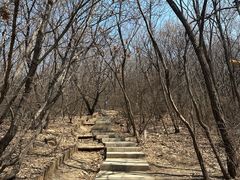 -沈阳辉山风景区