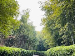 -天目湖涵田度假村