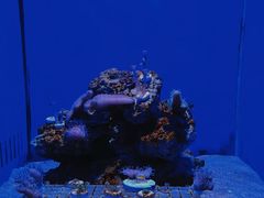 -青岛海底世界-水族馆