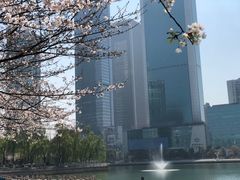 -西北湖绿化广场