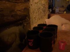 -Helens海伦司小酒馆(对外经贸大学店)