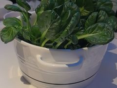 -烹然四季椰子鸡火锅(姚家园万象汇店)
