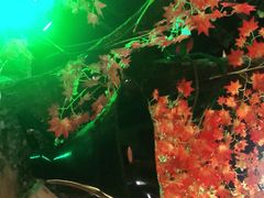 -宝丽金大酒店·洗浴中心