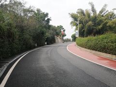 -仙岳公园