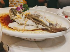 -刘胖子家常菜·蹄花焖藕(兴业店)