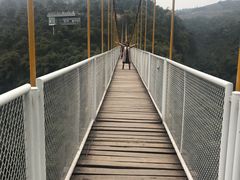 -川西竹海景区