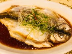 清蒸白鱼-中国饭店-餐厅