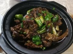 -龙小海荆沙鸽子店(瑞安街店)