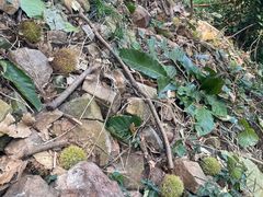 -东山风景区(洞庭东山)
