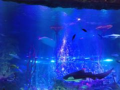 -沈阳海洋探索中心