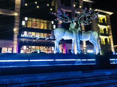 -鹭江潮餐厅•福建菜(鹭江佲家酒店)