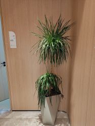 -柠润·Onda塑形·海菲秀·科技美肤中心