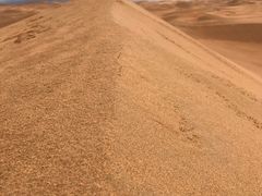 -沙漠世界地质公园