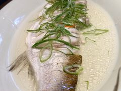 清蒸白鱼-二十八里太湖船菜(吉祥路店)