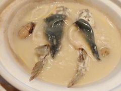 -新雅粤菜馆(南京东路店)