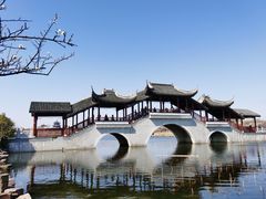 -上海海湾国家森林公园