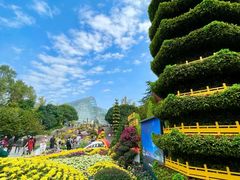 -南山植物园