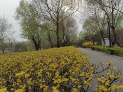 -南海子公园