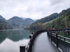 -江西阳明山国家森林公园