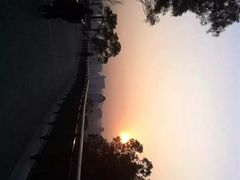 -金鸡山公园