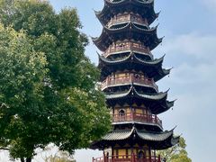 -龙华素斋(龙华路店)