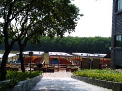 -大湾区中央湿地公园