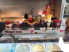 -哈根达斯(西安高新店)