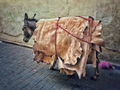 -穆莱拉赫制革厂