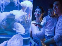 -太平洋海底世界