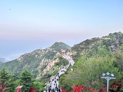 -泰山风景名胜区