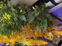 -城墙拐拐火锅(三峡广场黑金冠店)