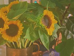 环境-BOR Eatery(安福路店)