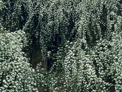 -成都当代影像馆