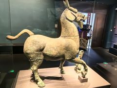 -广西壮族自治区博物馆